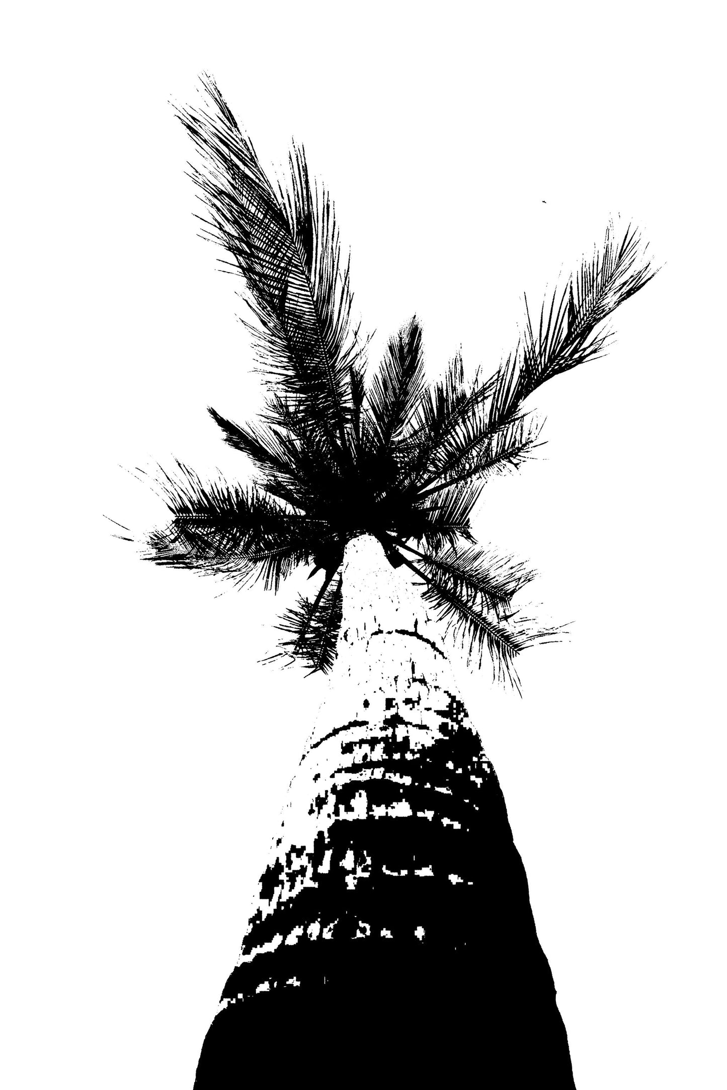Travel 2